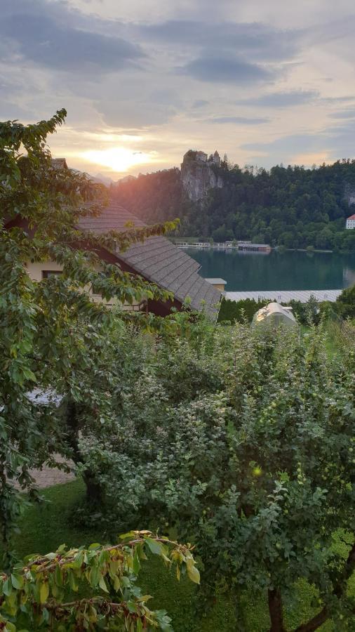 Villa Anna Bled Esterno foto